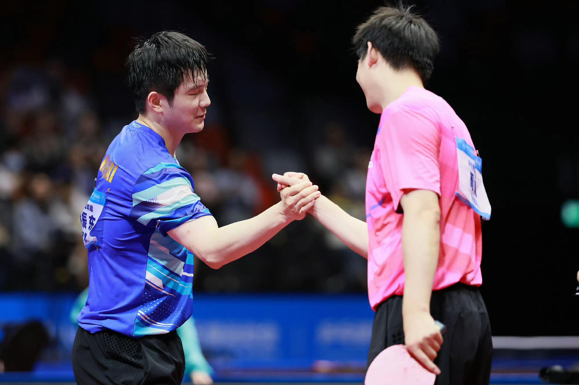 波兰队逆转奥地利队，樊振东扛起全队