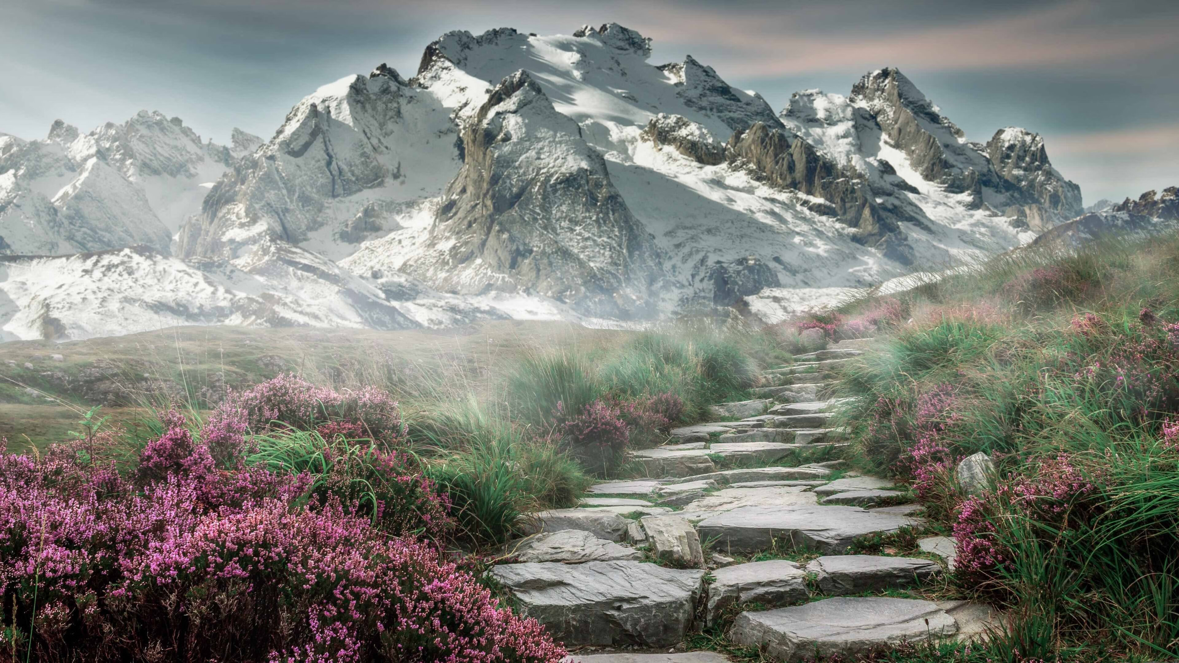 宿命重现，凯尔特人12年后再演剧本，这次布伦森改写结局