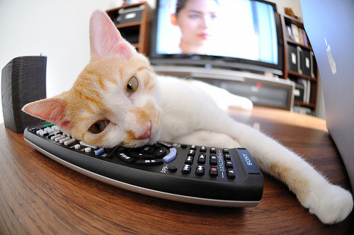 当非洲野火席卷圣西罗,三笘薰的致命温柔与米兰的全球化阵痛