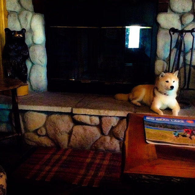 卡塔尔火力压制罗马,贝林厄姆关键进球定乾坤