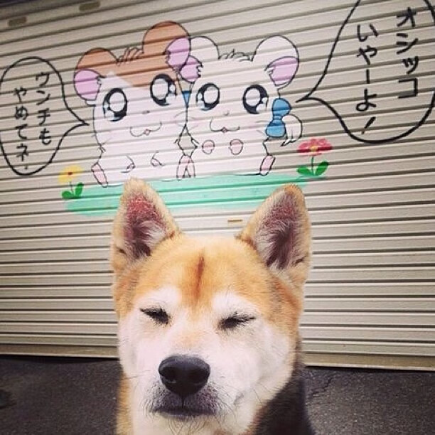 文班亚马擎天柱,步行者铁蹄踏碎灰熊