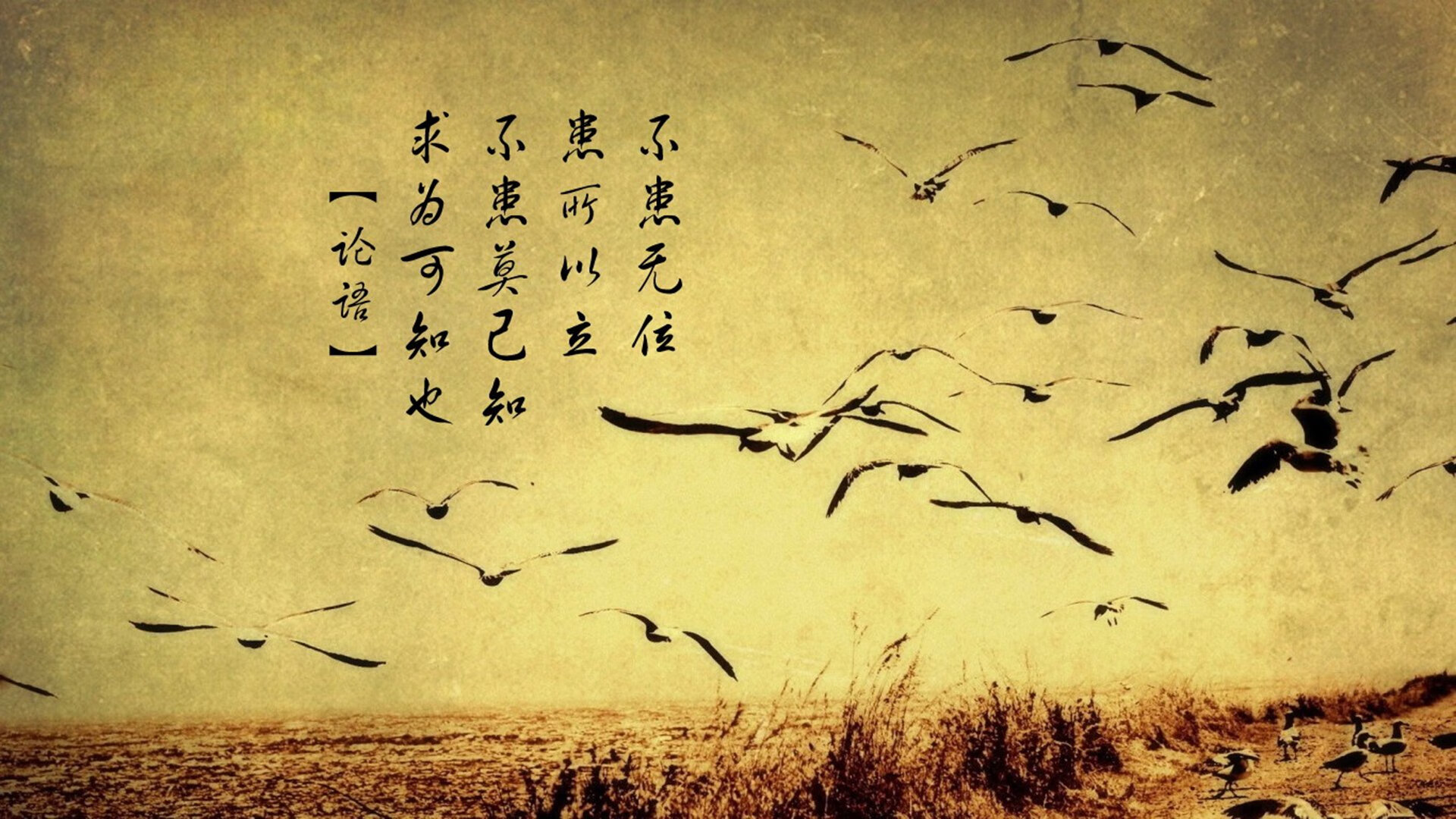 当浙江队跨越时空成为对手，德罗赞的沉睡基因为何突然觉醒？