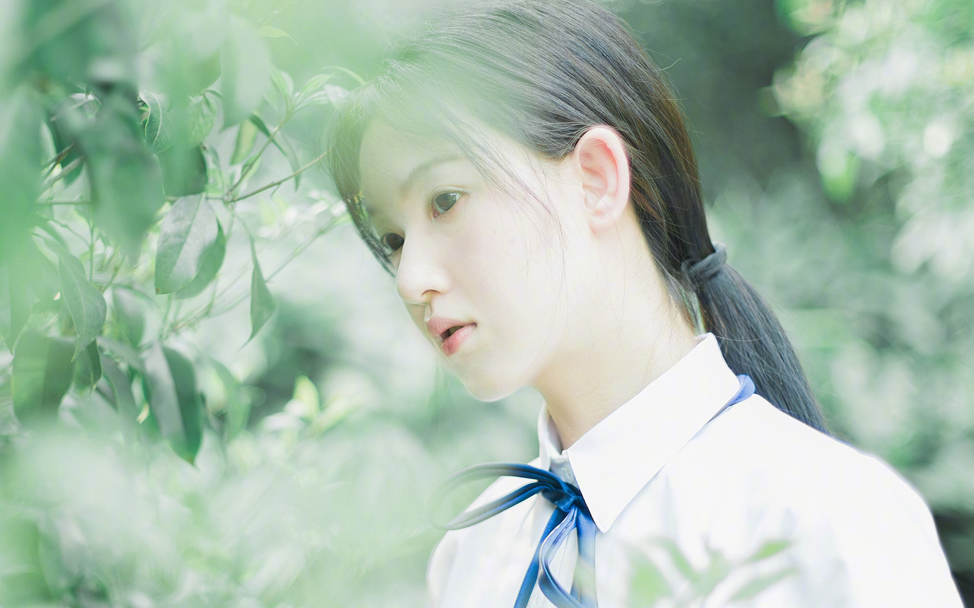 国家德比硝烟处，克瓦拉茨赫利亚，大幕拉开时，墨水独染传奇