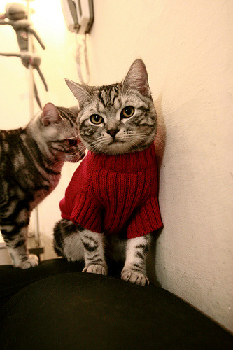 命运的折线，从慕尼黑的45°到阿布扎比的90°