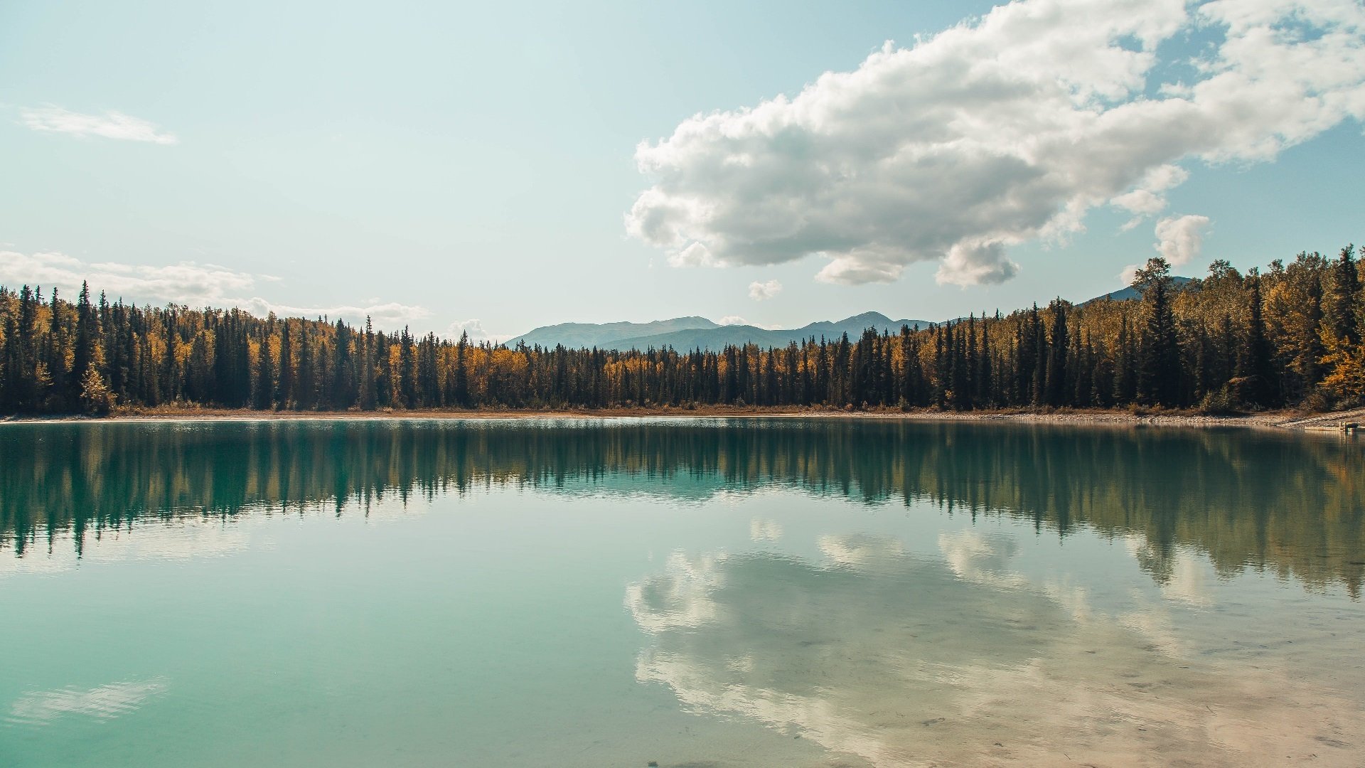 福克斯47分撕碎猛龙，北京队史诗一战竟引发多伦多股市暴跌？