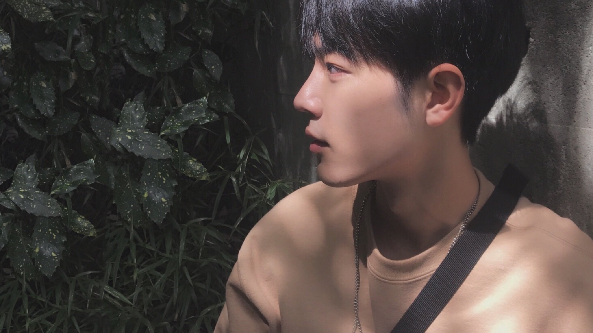 存在感拉满！切特领衔黄蜂力克吉林队