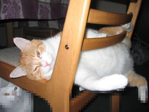 终场哨响之前，阿圭罗与抢七之夜的永恒回响