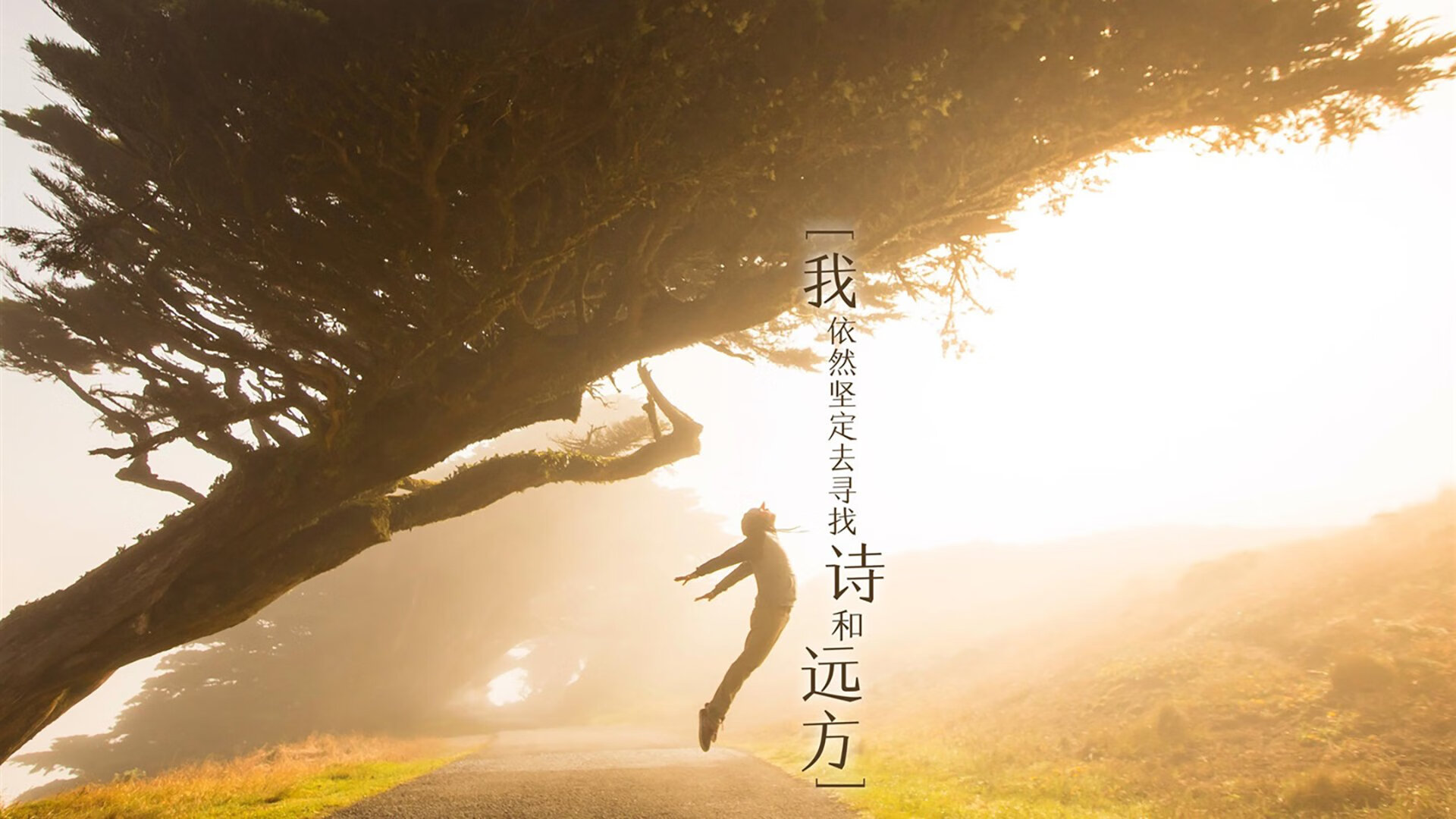 英超争冠夜，范弗利特如何在球场上演后场三分雨彻底击溃对手防线