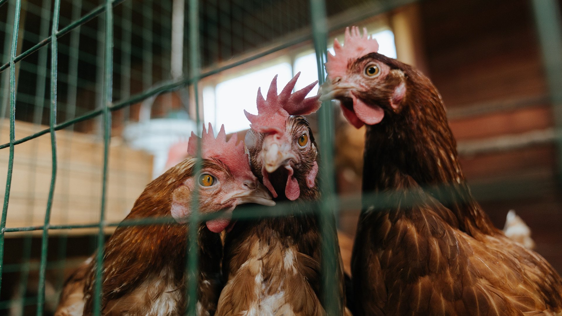 希腊神话与英伦之月，当双城足球传奇在同一夜闪耀