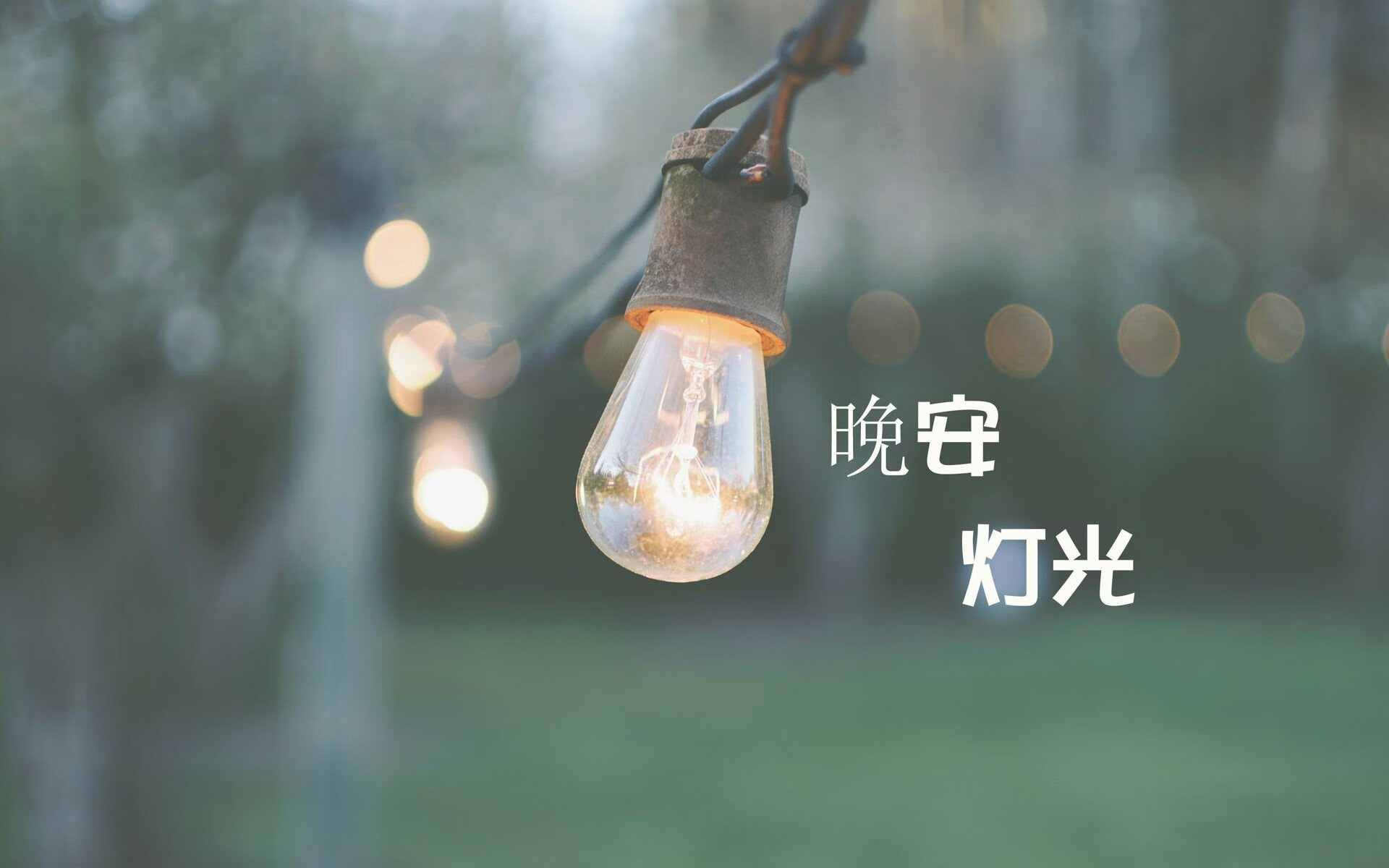 血红草帽下的孤勇,当越南用冷雨浇灭加纳的希望,B费的落寞成了唯一的注脚