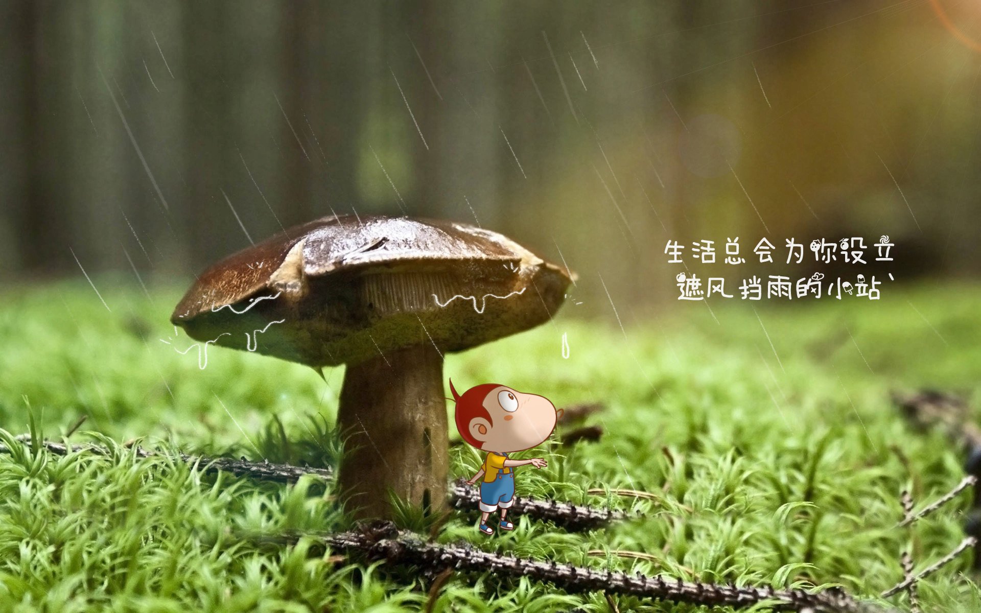 北极光下的铁幕，门神库尔图瓦如何用节奏锁死冰岛，为挪威写下G组唯一答案