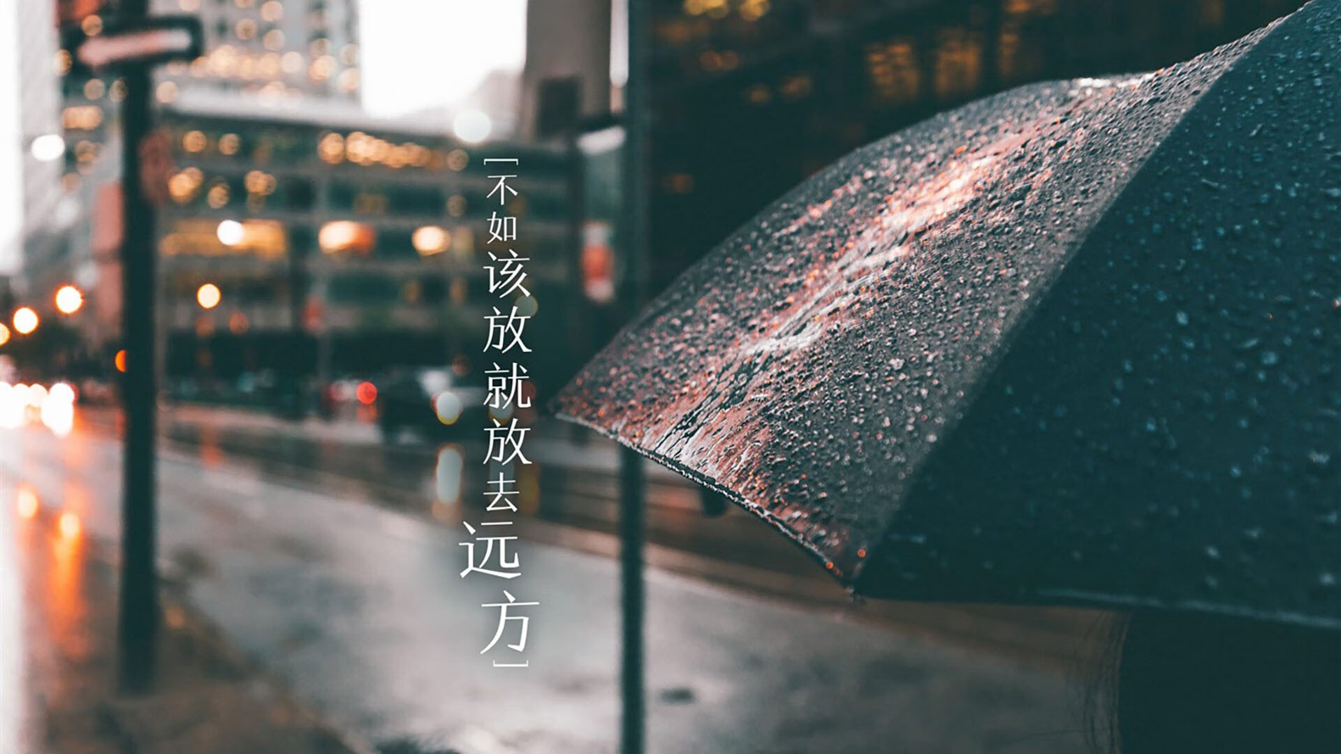 沙漠之鹰与中亚铁骑的F组博弈,2026世界杯,齐耶赫那唯一的、撕碎宿命论的神奇左脚