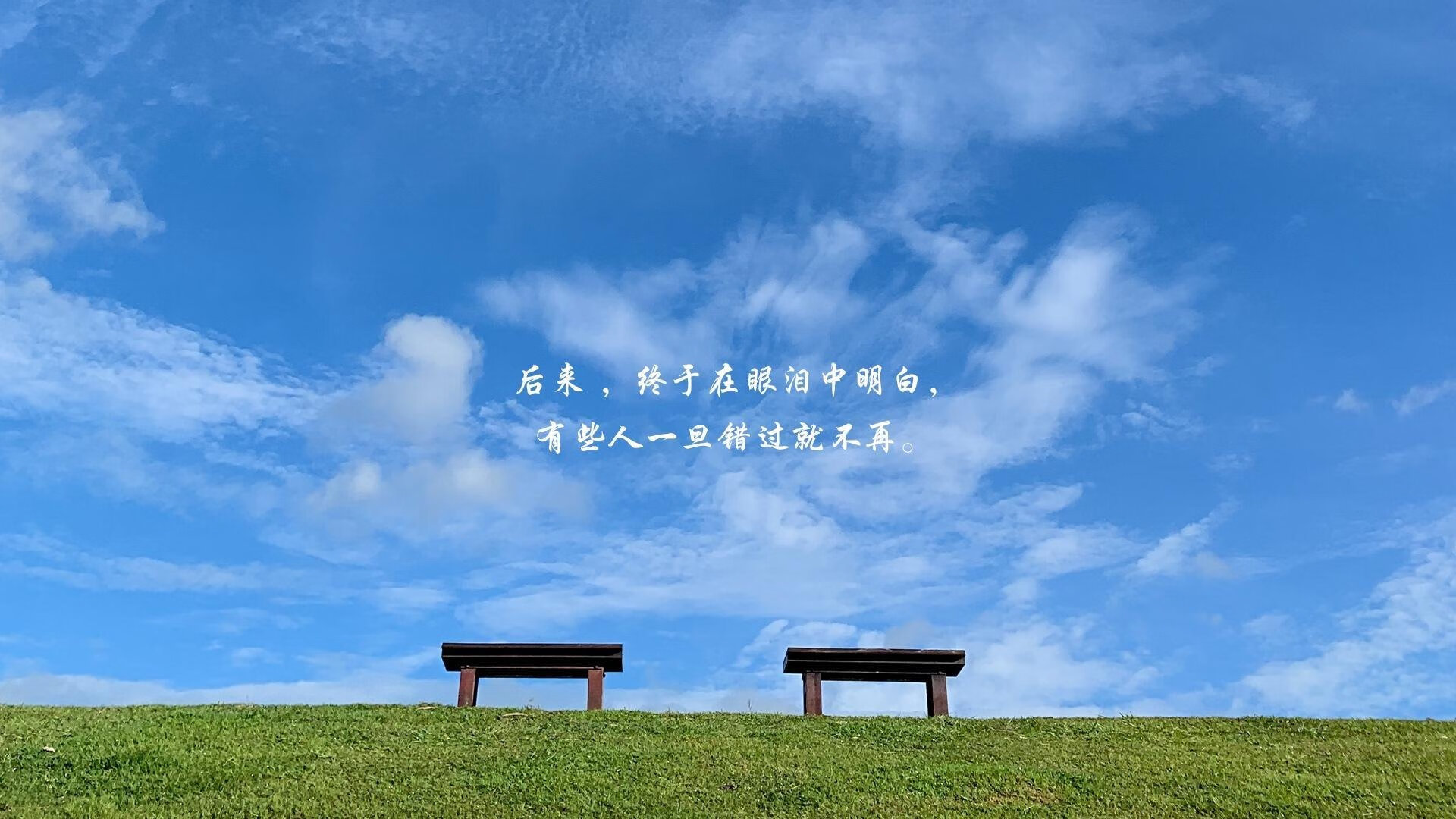 蓝衣军团的逆转密码,费利克斯如何用临场魔法改写2026世界杯F组命运