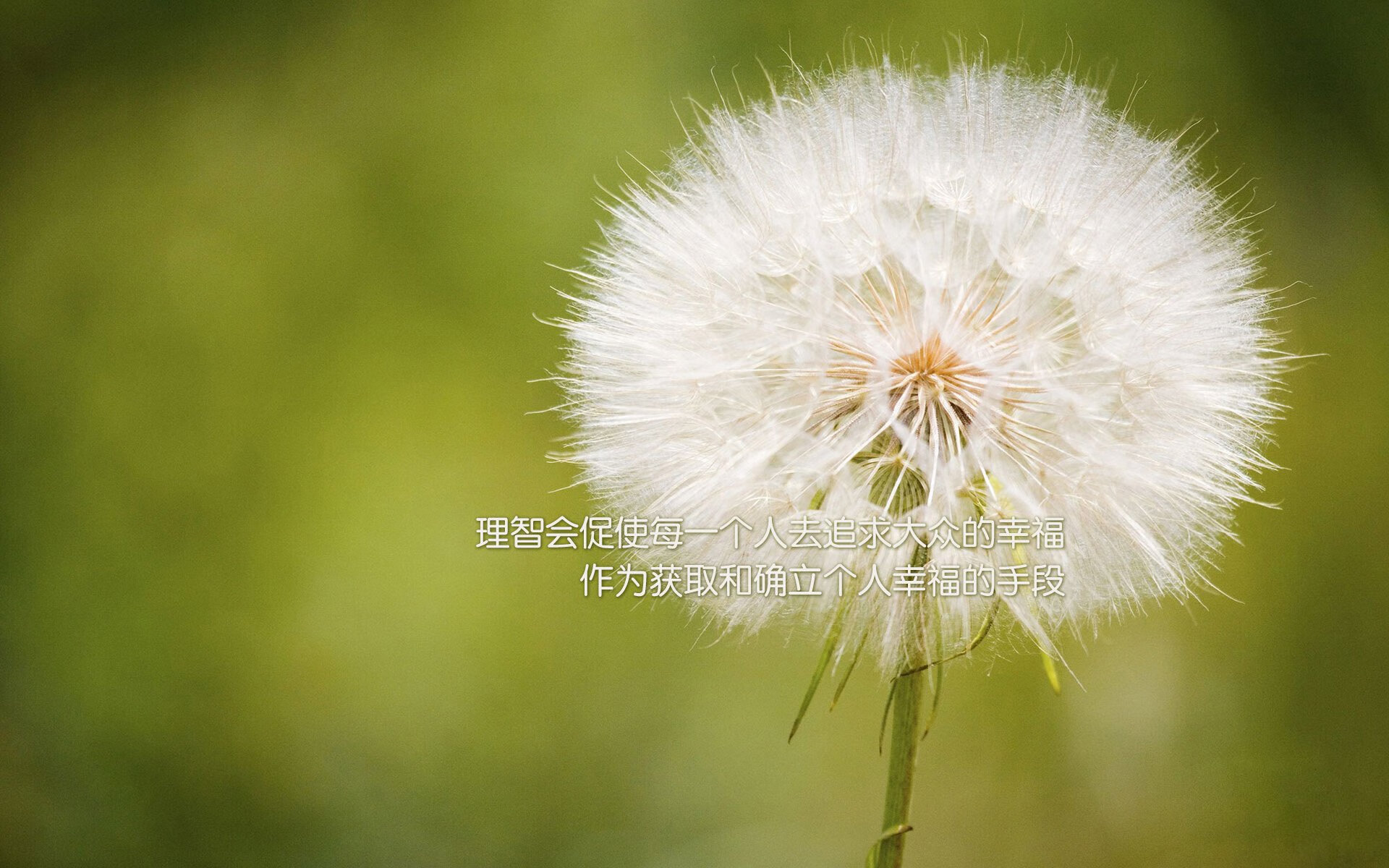 孤星闪耀多哈夜,当齐耶赫以一己之力,为保加利亚的灰姑娘童话写下最冷酷的注脚